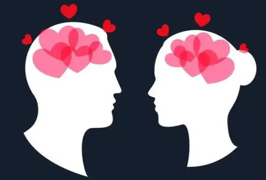 恋爱脑什么意思?