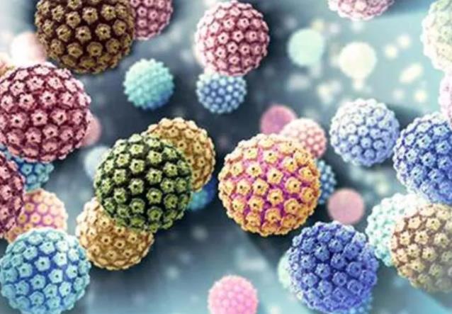HPV是什么病毒?