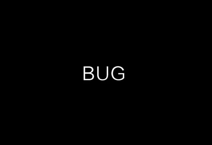 bug是什么意思.jpg